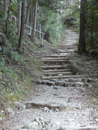 160325-熊野古道 小辺路 (13)