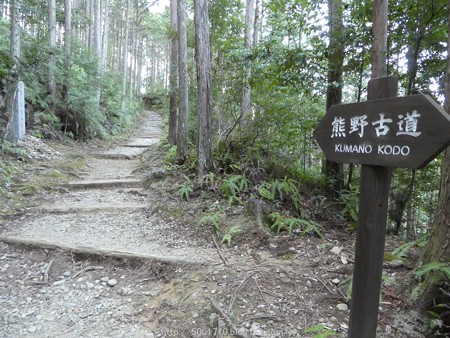 160325-熊野古道 小辺路 (14)