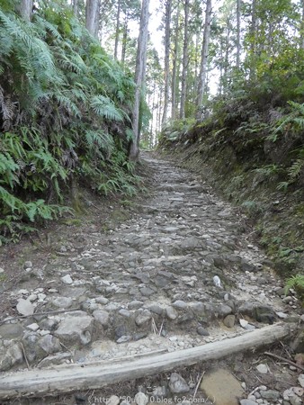160325-熊野古道 小辺路 (16)