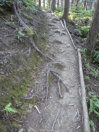 160325-熊野古道 小辺路 (32)