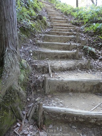 160325-熊野古道 小辺路 (34)