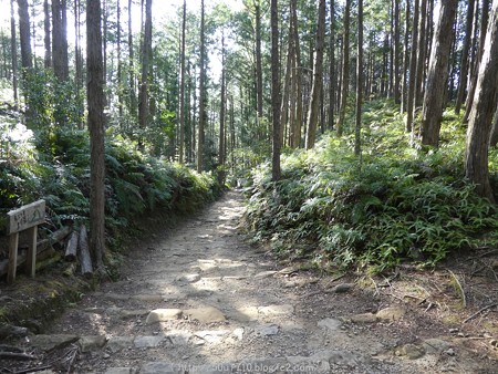 160325-熊野古道 小辺路 (49)