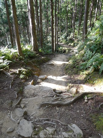 160325-熊野古道 小辺路 (51)
