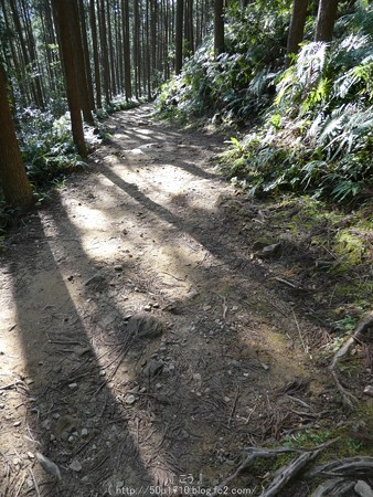 160325-熊野古道 小辺路 (52)