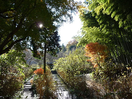 091204-明月院 (7)