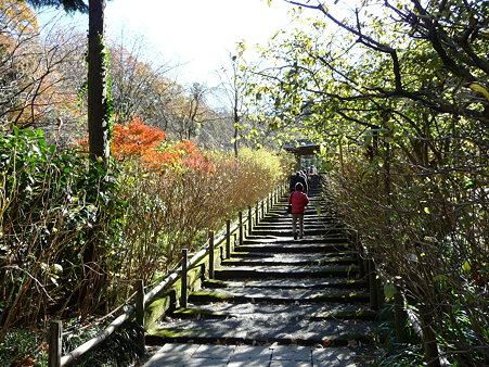 091204-明月院 (40)