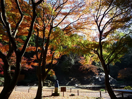 091204-明月院庭園 (10)