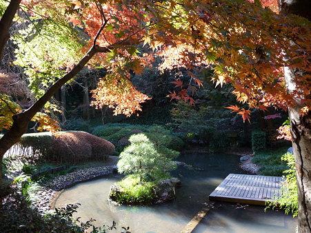 091204-明月院庭園 (75)