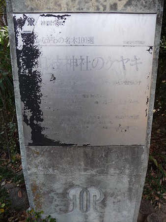 100120-日枝社 (4)
