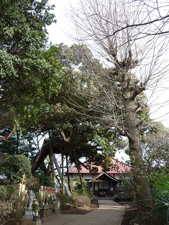 100120-6.西福寺 (2)