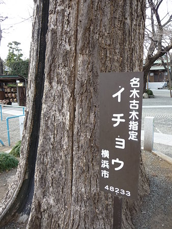 100120-7.宗川寺 (5)