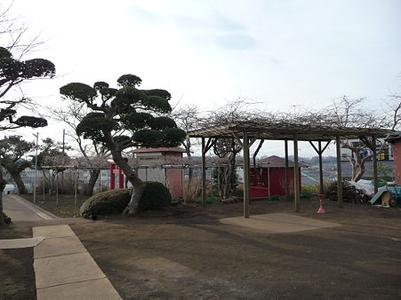 100120-8.全通院勢至堂 (6)