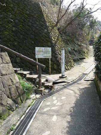 100301-田浦梅林 (98)