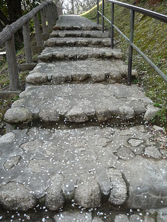 100301-田浦梅林 (25)