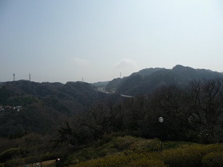100301-田浦梅林 (73)