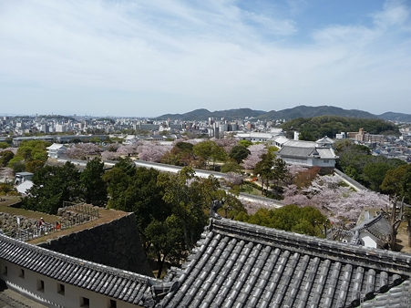 110417-姫路城 (172)