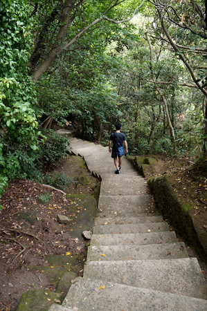 鋸山