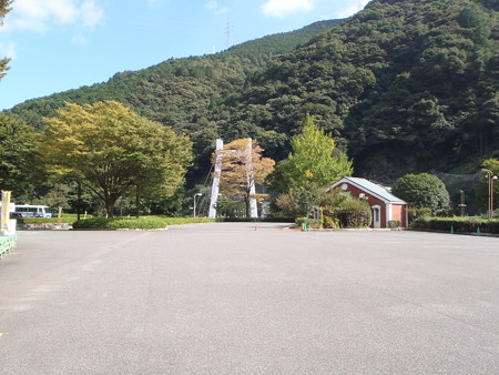 14101702