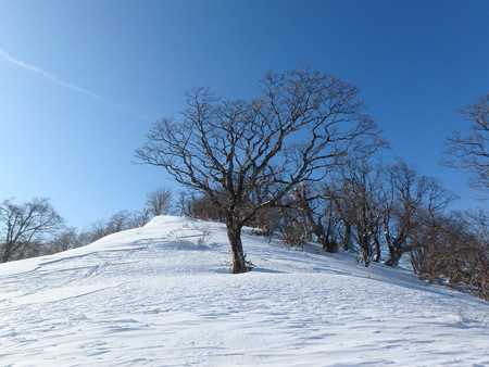 P2110097