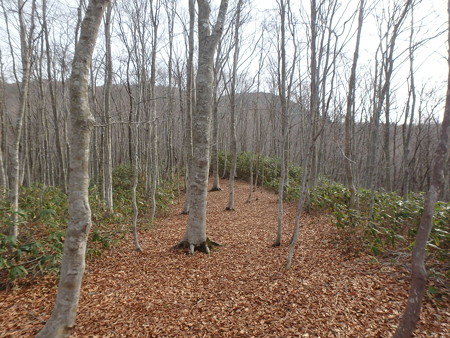 P4090006