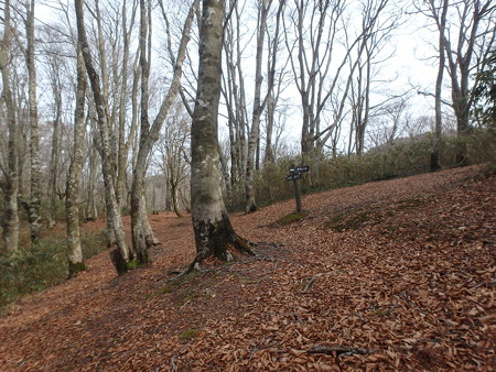 P4090009