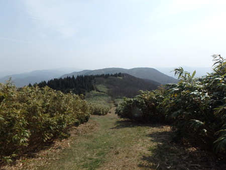 P4090037