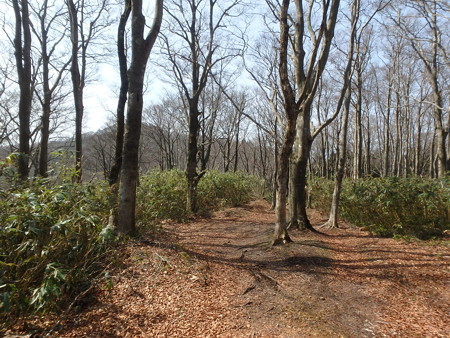 P4090039