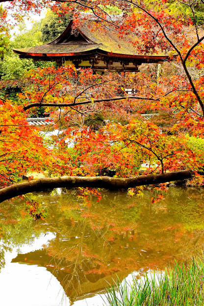 長岳寺　山門