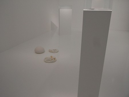 ポリモーフィック（旧柏湯）