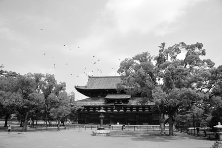 南大門から金堂をのぞむ