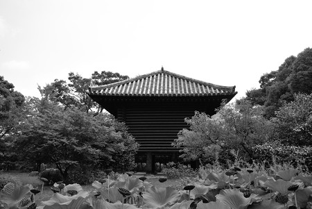 宝蔵