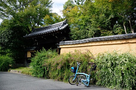 迎称寺