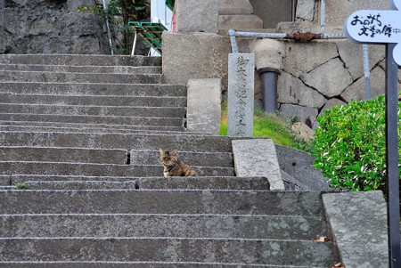 尾道にて