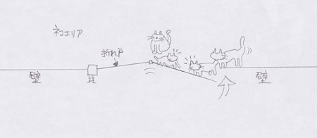 oredo22,拡大