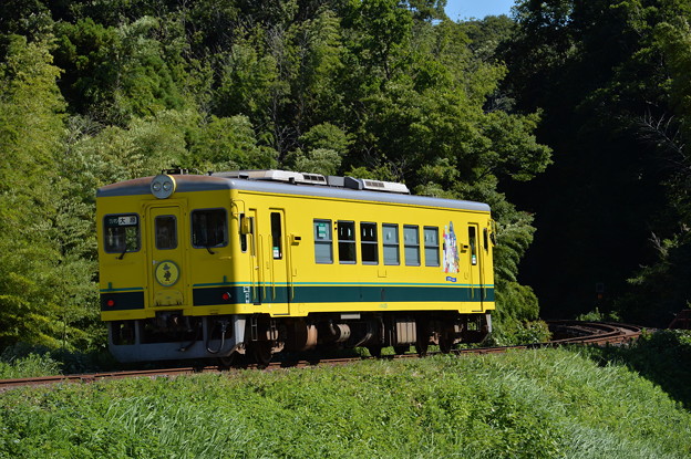 いすみ鉄道 普通列車12D (いすみ351)