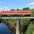 いすみ鉄道 臨時急行3号 (キハ52 125)