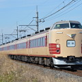 成田山初詣臨時列車 189系
