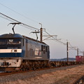 貨物列車 (EF210-135)