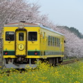 いすみ鉄道 普通列車 11D