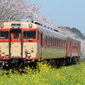いすみ鉄道 普通列車 512D (キハ28 2346 + キハ52 125)