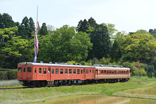 いすみ鉄道 普通列車 101D