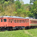 いすみ鉄道 普通列車 103D