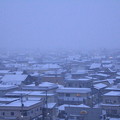 Photos: 早朝の雪景色0２