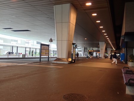 とうとう日本に帰ってきてしまった