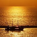 Photos: 黄昏クルーズ