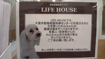 LIFE HOUSE