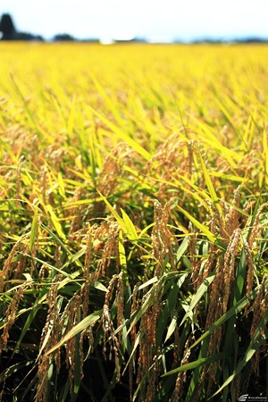 Blog_20140921_002