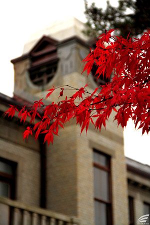 Blog_20151113_5