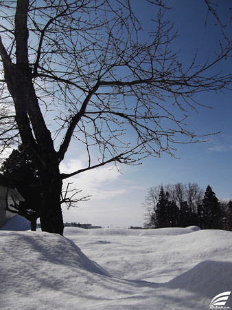 Blog_20160131_002