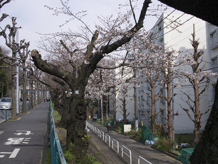 大蔵住宅2
